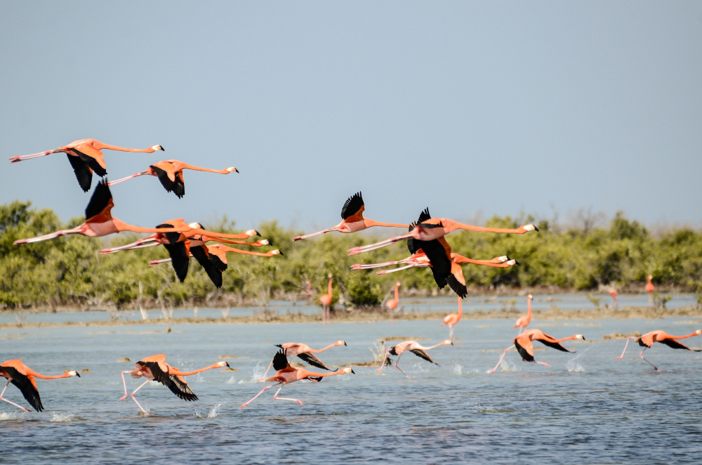 Lake Nakuru National Park